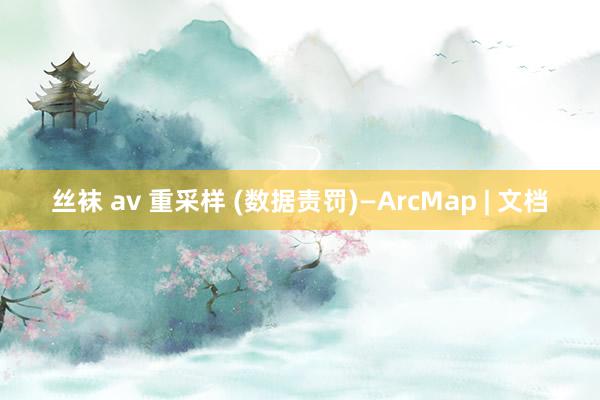 丝袜 av 重采样 (数据责罚)—ArcMap | 文档