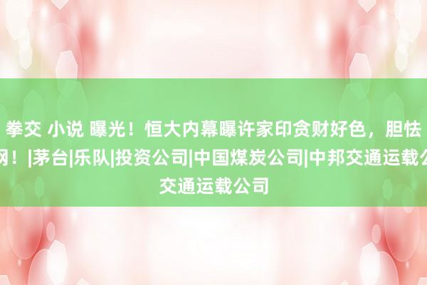 拳交 小说 曝光！恒大内幕曝许家印贪财好色，胆怯全网！|茅台|乐队|投资公司|中国煤炭公司|中邦交通运载公司