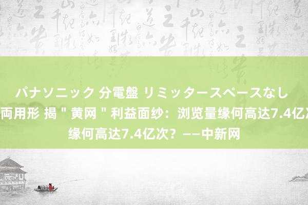 パナソニック 分電盤 リミッタースペースなし 露出・半埋込両用形 揭＂黄网＂利益面纱：浏览量缘何高达7.4亿次？——中新网