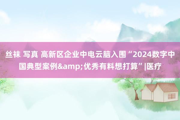 丝袜 写真 高新区企业中电云脑入围“2024数字中国典型案例&优秀有料想打算”|医疗