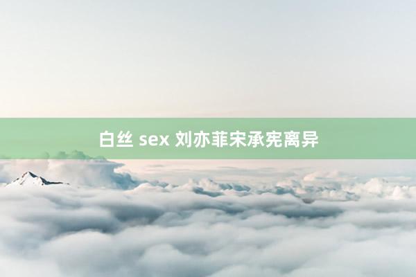 白丝 sex 刘亦菲宋承宪离异