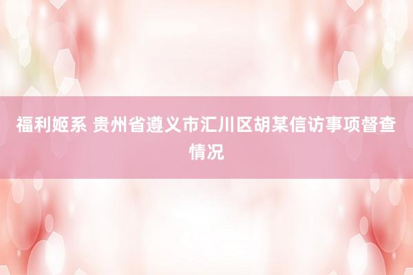 福利姬系 贵州省遵义市汇川区胡某信访事项督查情况