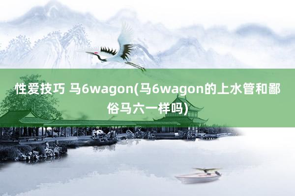 性爱技巧 马6wagon(马6wagon的上水管和鄙俗马六一样吗)