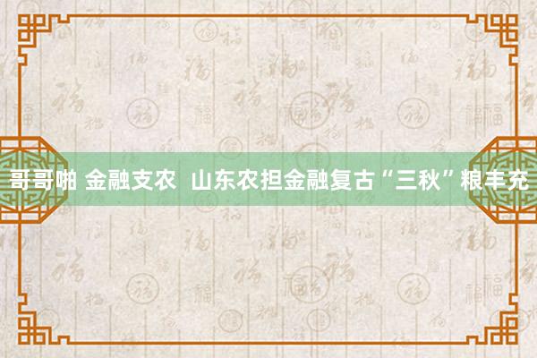 哥哥啪 金融支农  山东农担金融复古“三秋”粮丰充