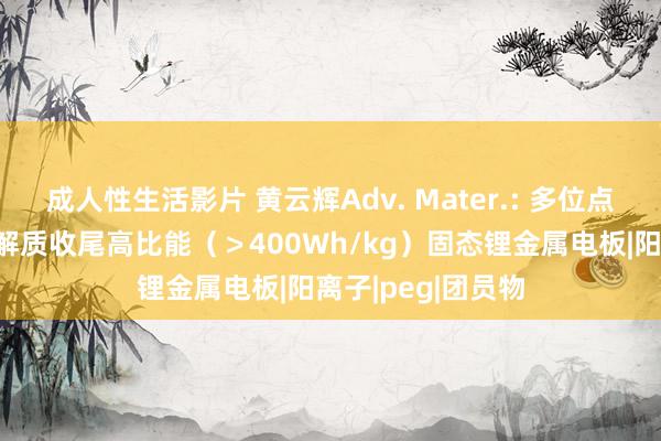 成人性生活影片 黄云辉Adv. Mater.: 多位点交联型聚氨酯电解质收尾高比能（＞400Wh/kg）固态锂金属电板|阳离子|peg|团员物