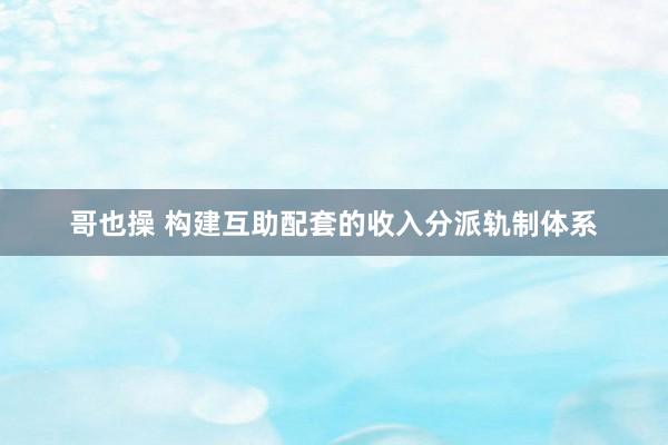 哥也操 构建互助配套的收入分派轨制体系