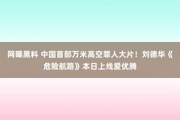 网曝黑料 中国首部万米高空罪人大片！刘德华《危险航路》本日上线爱优腾