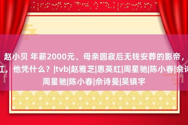 赵小贝 年薪2000元、母亲圆寂后无钱安葬的影帝，60多岁爆红，他凭什么？|tvb|赵雅芝|惠英红|周星驰|陈小春|佘诗曼|吴镇宇